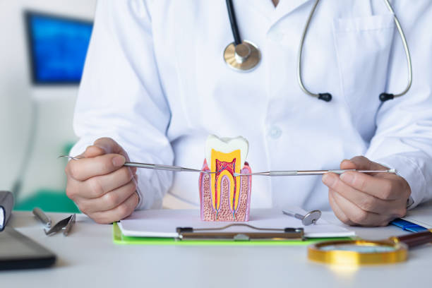 Best Mobile Emergency Dentist in Spring Arbor, MI